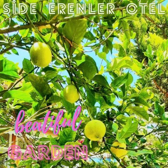 Side Erenler Hotel Bagian luar foto